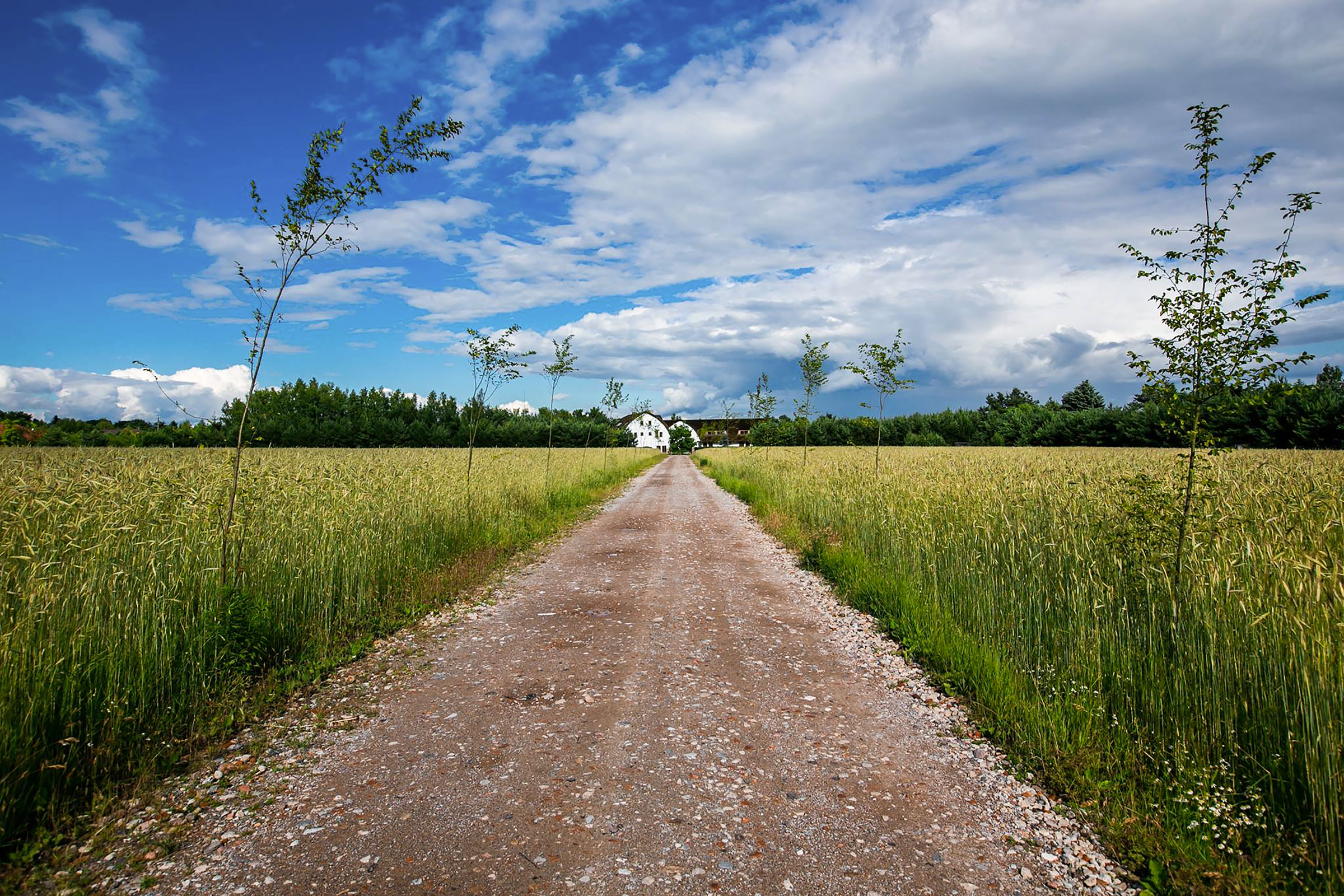 Image for Lato – spotkanie Akademii Lagom w HOT_elarnii 17.07.2021