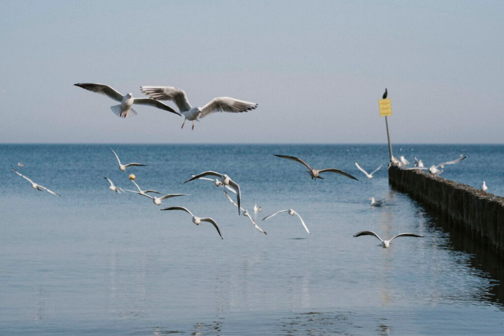 Magiczny optymizm cz.2